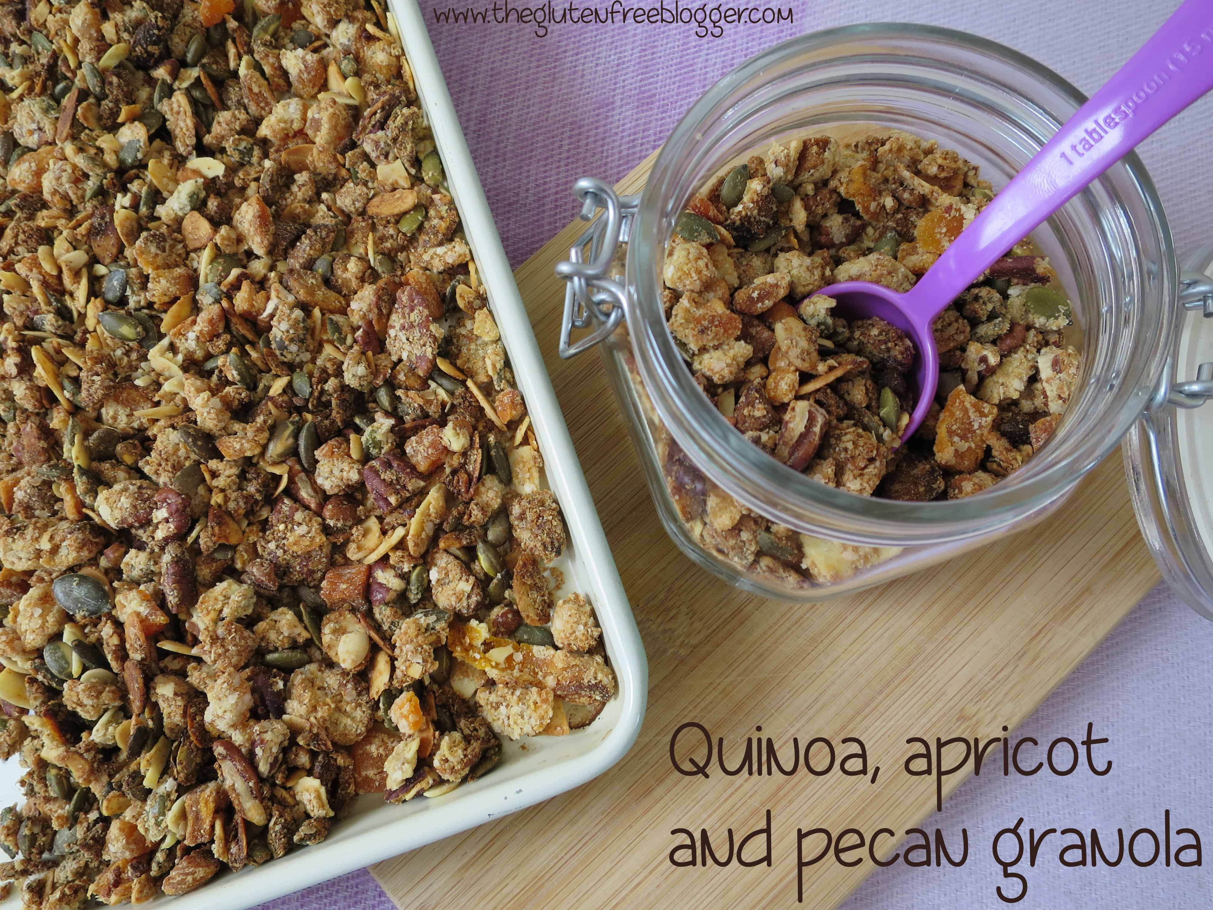 gluten free quinoa apricot granola recipe wheat free dairy free (21a)