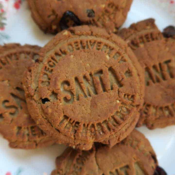 Gluten free & dairy free spiced protein Christmas cookies