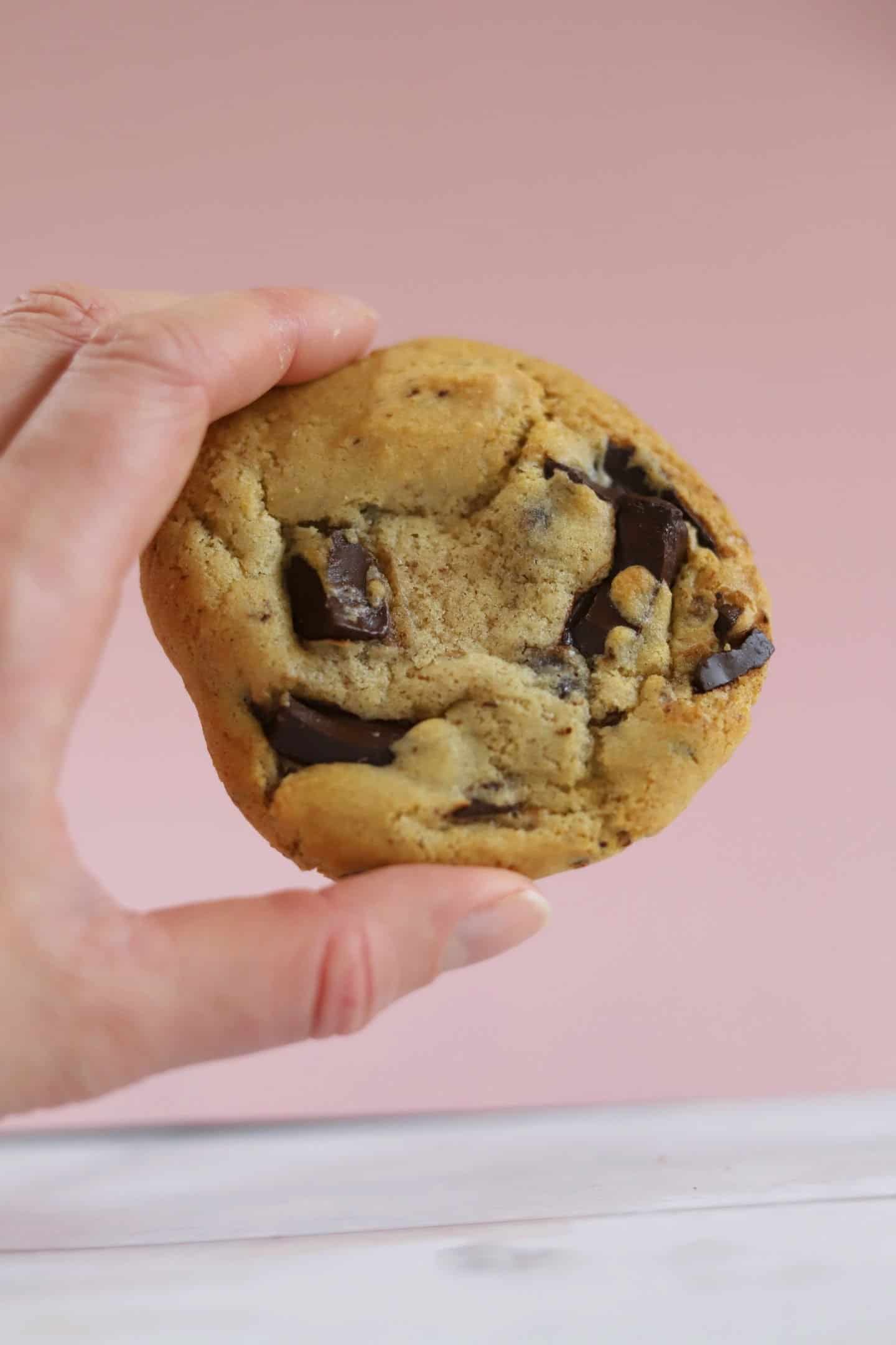 Hand holding a vegan chocolate chip cookie.