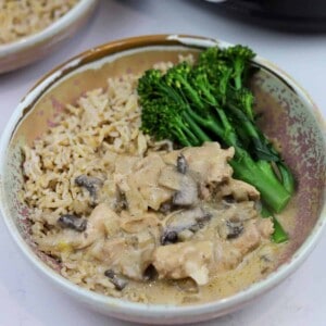 slow cooker chicken stroganoff recipe