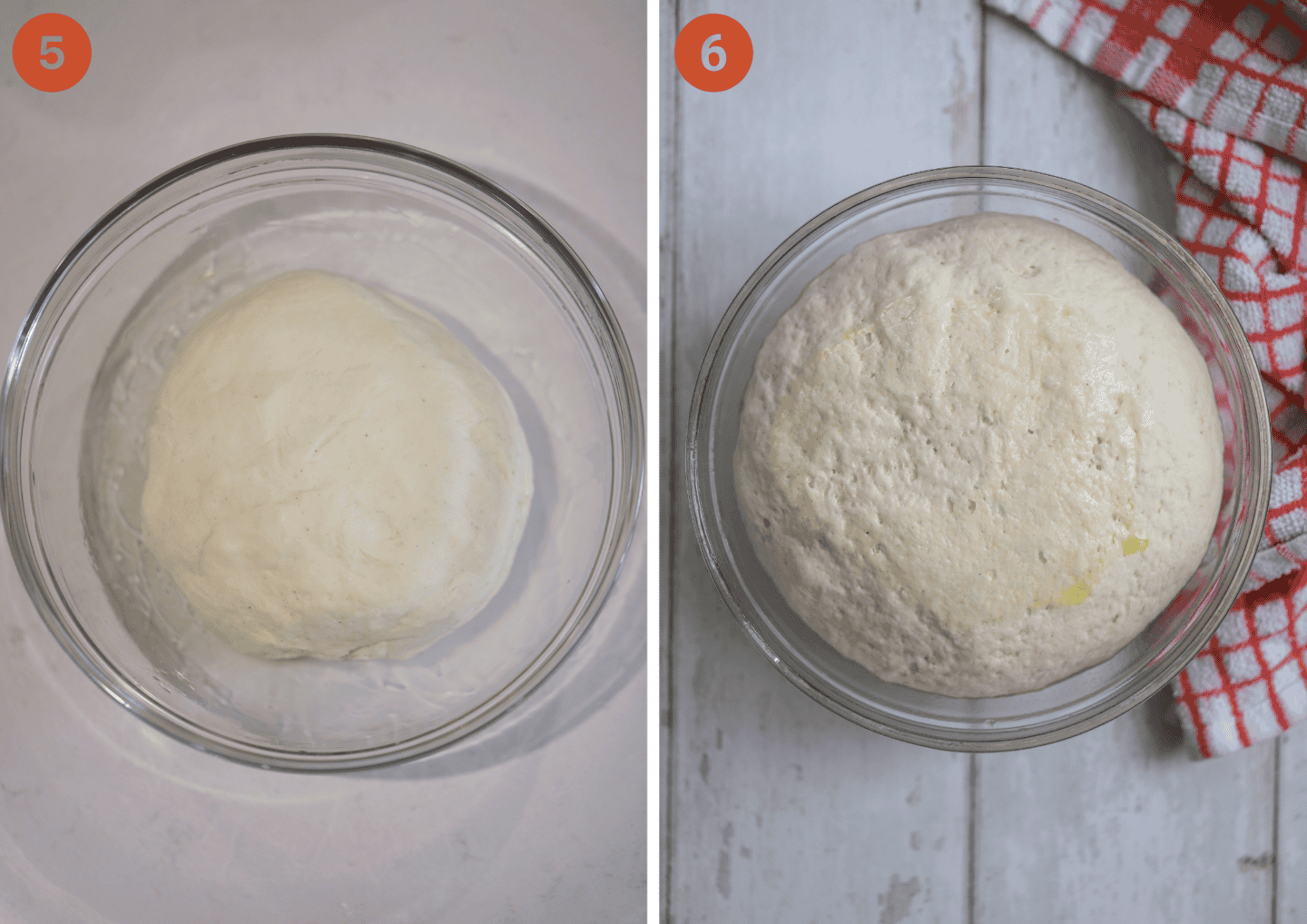 The caputo gluten free pizza dough before and after proving.
