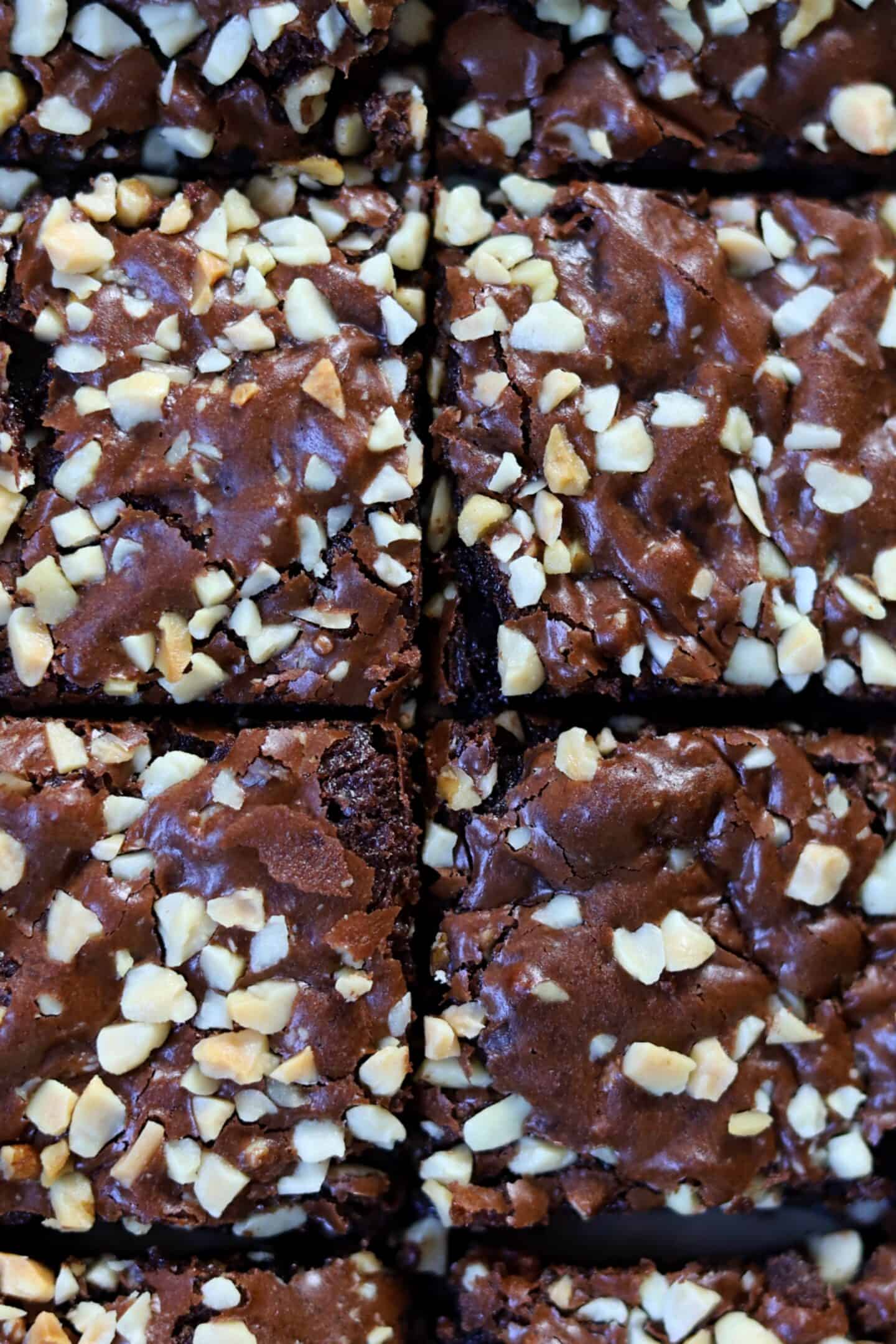 Gluten free brownies with nuts on top.