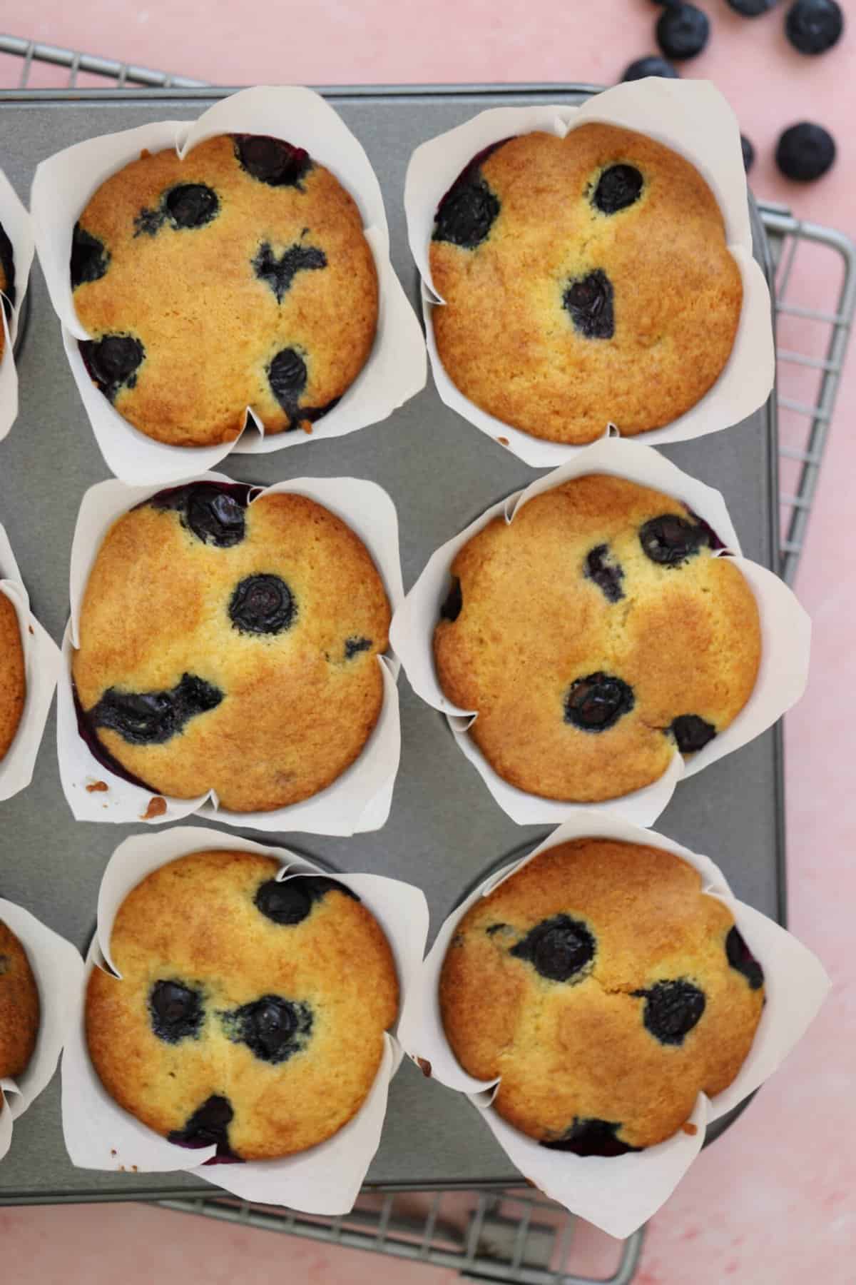 A tray of gluten free blueberry muffins.