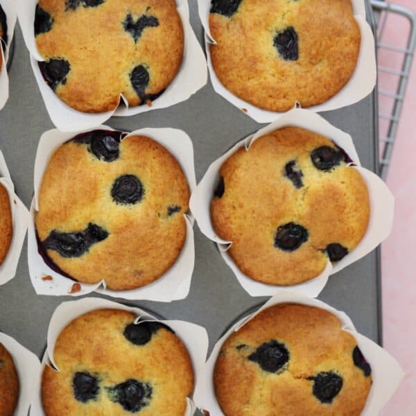 A tray of gluten free blueberry muffins.