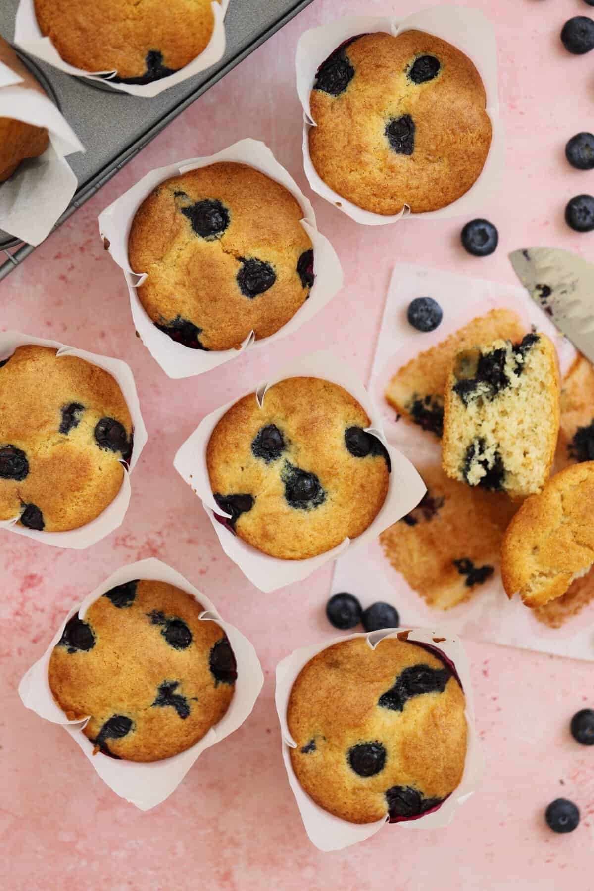 Gluten free blueberry muffins on a pink backdrop.