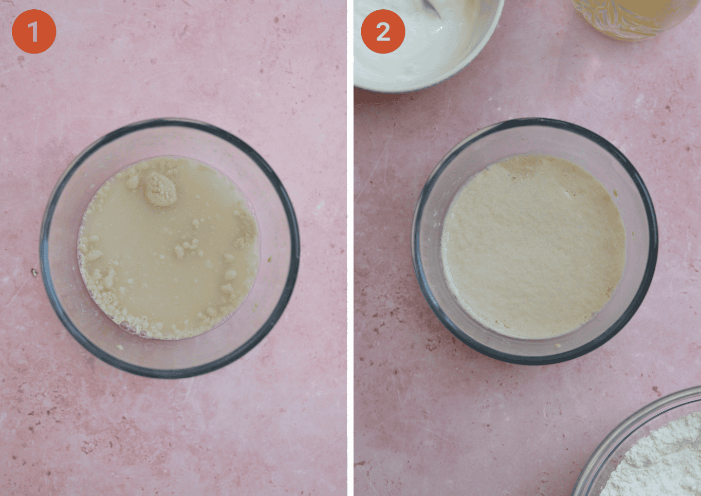 Yeast before and after proving.